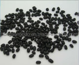 Small Black Beans (008)