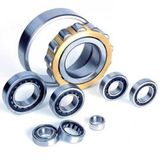 Cylindrical Roller Bearing /Industrila Roller Bearing