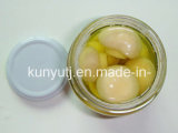 Canned Mushroom in Glass Jar with High Quality