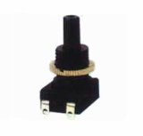 Push Buttion Switch (T-2318)