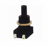 Push Buttion Switch (T-2318)