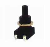 Push Buttion Switch (T-2318)