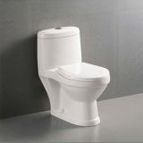 Toilet Product (Z2060425)