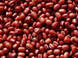 Small Red Kidney Beans (006)