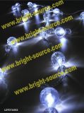 20L LED Light with Assorted Acrylic Design