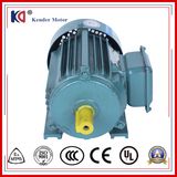Cast Iron AC Phase Electric Motor