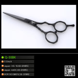 Titanium Coated Hairdressing Scissors (Q-55BK)