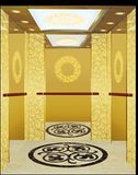 Luxurious Passage Elevator Without Machine Room