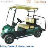 Lvtong Brand 2 Seater Electric Car Lt-A2