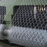 Galvanized Iron Wire Hexagonal Netting Chicken Poultry Mesh