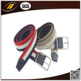 Latest Elastic Belts Polyester Braided Belt (HJ3904)