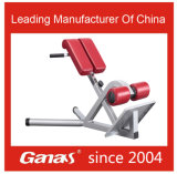MT-6041 Ganas Roman Chair Heavy Duty Gym Equipment