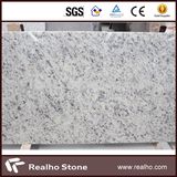 New Arrival White Rose Granite