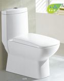 One Piece Toilet Closet (CE-T217)