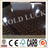 Qingdao Gold Luck Film Faced Play Wood
