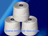 (2/30s) Spun Polyester Yarn Sewing Yarn