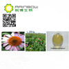 100% Natural Echinacea Herb Extract