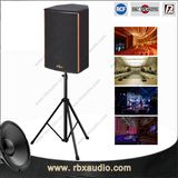 Rt-6250 8 Ohm 350W DJ Stage Club Sound Box