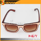 Fashion Sunglasses (SX-JMDY-6158)