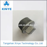 Malleable Iron Pipe Fittings: High Quality Plug
