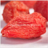 100% Natural Fructus Lycii (goji berry) , 2013 Fresh