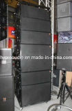 Two-Way Dual 10 Inch Line Array (DS2010)