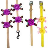 Fashion Dog Leashes for Pet Dog Leader Pet Products (JCLH1638)