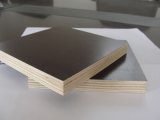 Black Film Faced Plywood ISO9001: 2000 Standard WBP Glue (21mm)