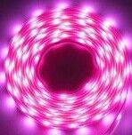 LED Strip Light (3528 Purple)