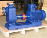 Zw Big Flow Clean Water Pump ISO9001 Certified