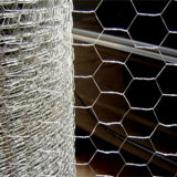 Galvanzied Poultry Netting Promotion