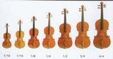 Violin
