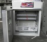 Chicken Eggs Hatcher 176