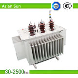 New Type Oil Immersion Power Transformers Outdoor Made in China