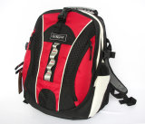 2012 Latest Fashion Backpack (BLS752)