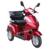 500W/700W Motor Tricycle with Rear Deluxe Saddle (TC-022)