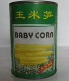 Canned Baby Corn in Tin