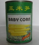 Canned Baby Corn in Tin