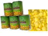 Canned Sweet Corn Kernel/Canned Food/Canned Sweet Corn