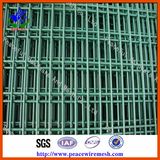 PVC Coated Welded Wire Mesh (DHWP02)