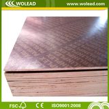 Poplar/Hardwood/Combi Core 18mm Film Faced Plywood (W15090)