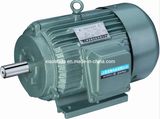 Y Three Phase Electric Motor/Iec Standard AC Motor