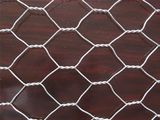 Hexagonal Wire Mesh, Economical Chicken Wire Netting