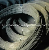 Carbon Spring Steel Wire for Highstress and Furniture