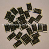 Good Price 0201 1% 1~10m Ohm SMD Thick Film Resistor