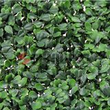 Artificial Green Plant Fence Privacy Screen