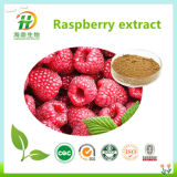 100% Natural Raspberry Extract (Raspberry Ketone 4% 98%, 4: 1~20: 1)