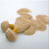 Wholesale Price Brazilian and Indian Human Hair Extensoin