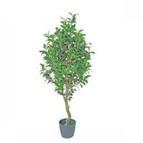 High Simulation Artificial Ficus Bonsai Tree with Cheap Price