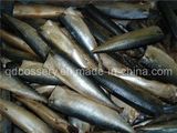 Frozen Mackerel Fish Fillelt